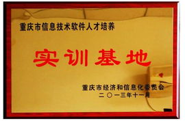 計(jì)算機(jī)應(yīng)用技術(shù)專業(yè) 數(shù)據(jù)服務(wù)與軟件開發(fā)實(shí)驗(yàn)班2014年重慶軟件開發(fā)實(shí)踐回顧