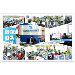 重慶彭水網(wǎng)站建設(shè)與軟件開發(fā) 網(wǎng)沃網(wǎng)絡(luò)的綜合服務(wù)優(yōu)勢(shì)